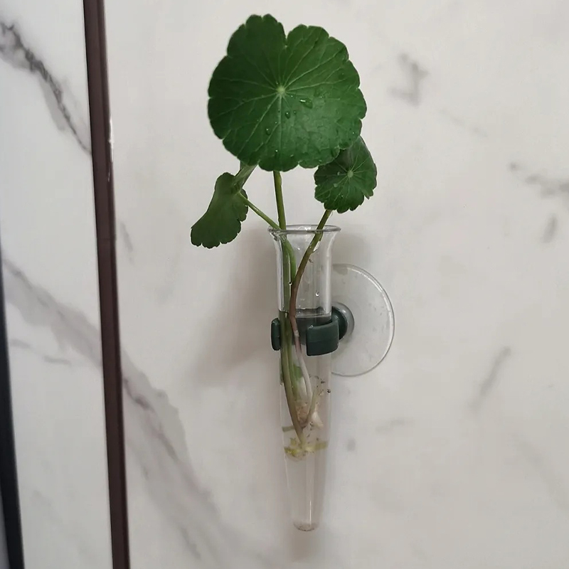 11cm 플로럴 워터 튜브 플라스틱 영양 공급 용기 흡 - Anda Florist Supply 리뷰 및 가격