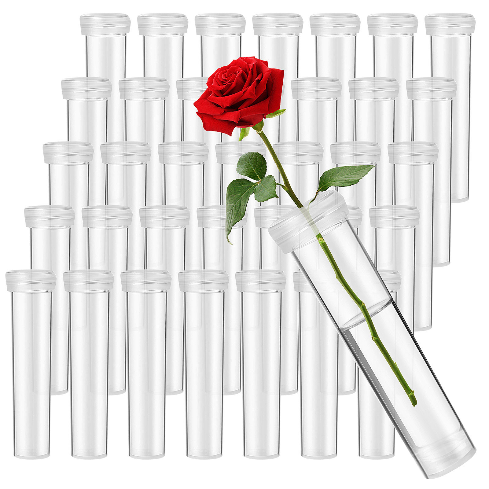 100개 꽃 물 공급 튜브 신선한 영양 공급 튜브 범용 - Anda Florist Supply 리뷰 및 가격