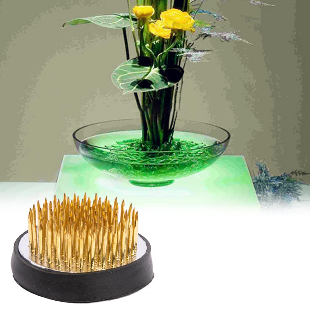 우수한 꽃 개구리 거치대 컴팩트, 꽃꽂이 거치대, 주방 - Flower Frog Pin 리뷰 및 가격