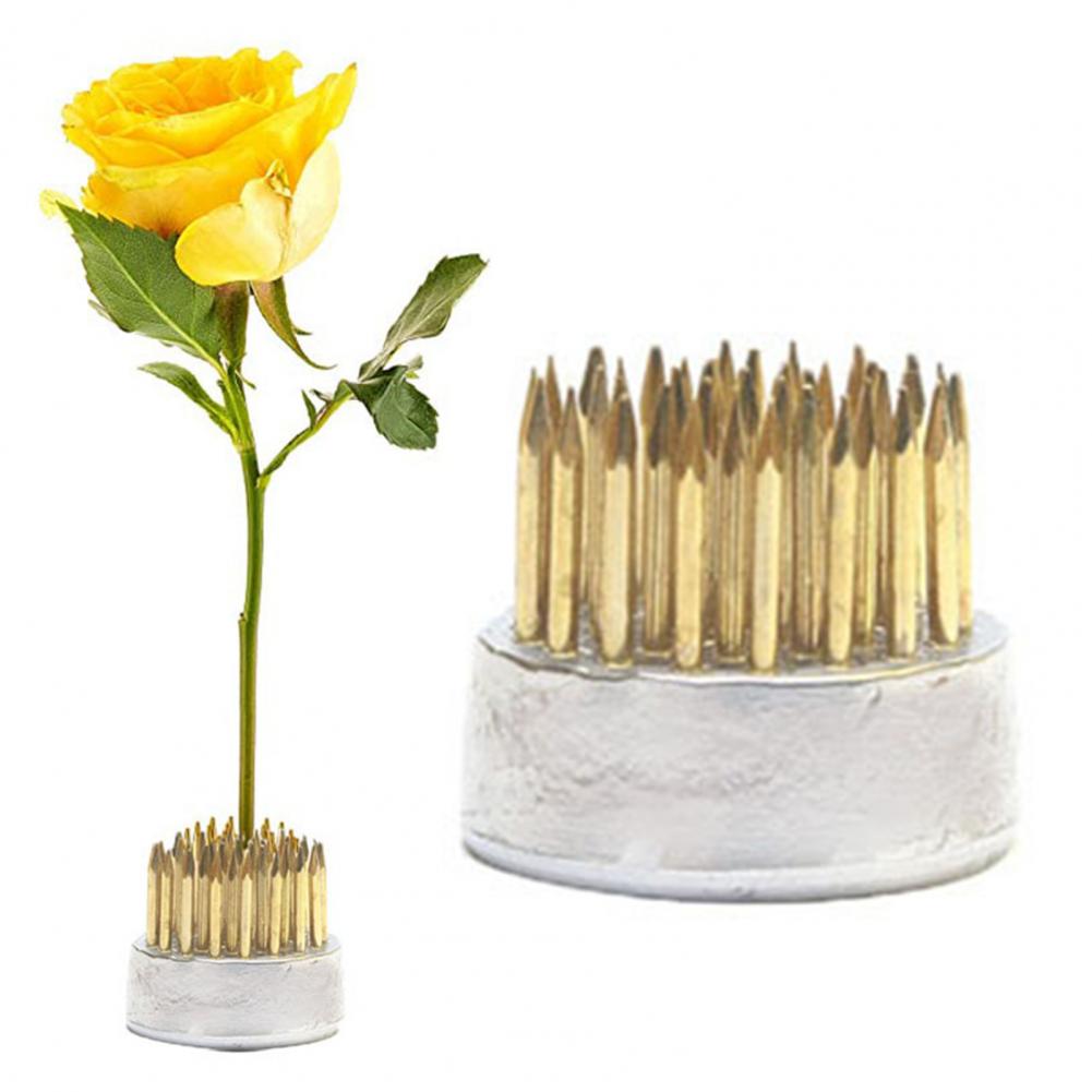 우수한 꽃 개구리 거치대 컴팩트, 꽃꽂이 거치대, 주방 - Flower Frog Pin 리뷰 및 가격