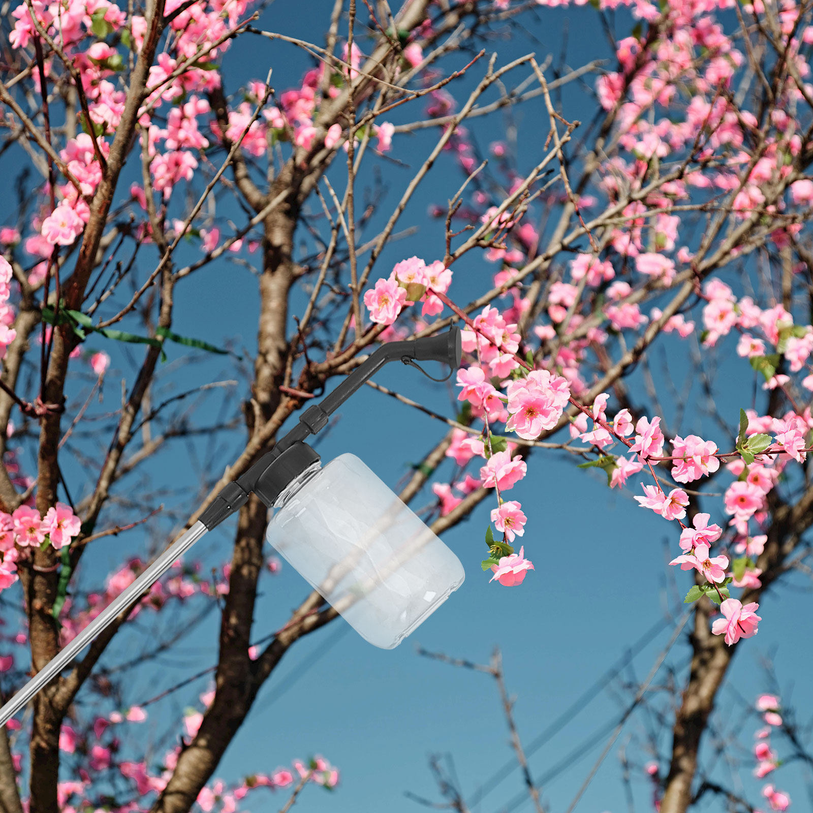 수동 꽃가루 이식 스틱, 온실 원예 용품용 휴대용 꽃가 - Flower Supplies 리뷰 및 가격