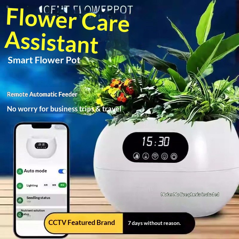 AI 지능형 화분 자동 급수 영양 공급 휴대폰 원격 제 - Flower Supplies 리뷰 및 가격